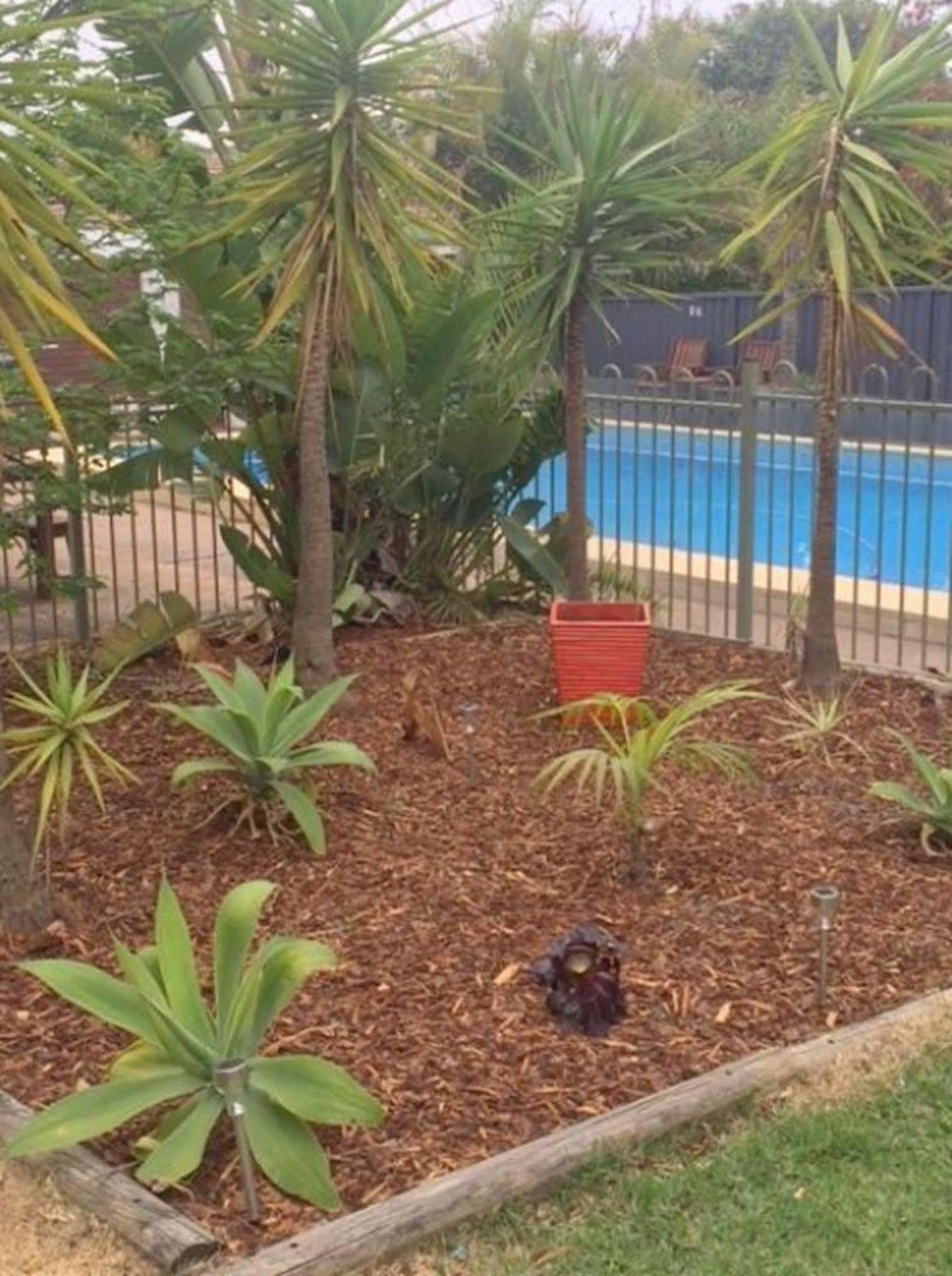 Cronulla Motor Inn Zewnętrze zdjęcie